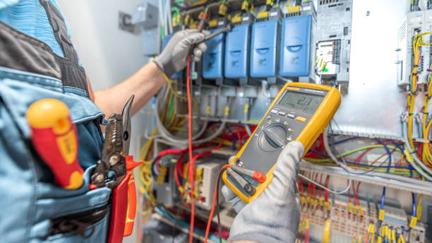 Best Electrician for Home Renovation  in Geneva, AL